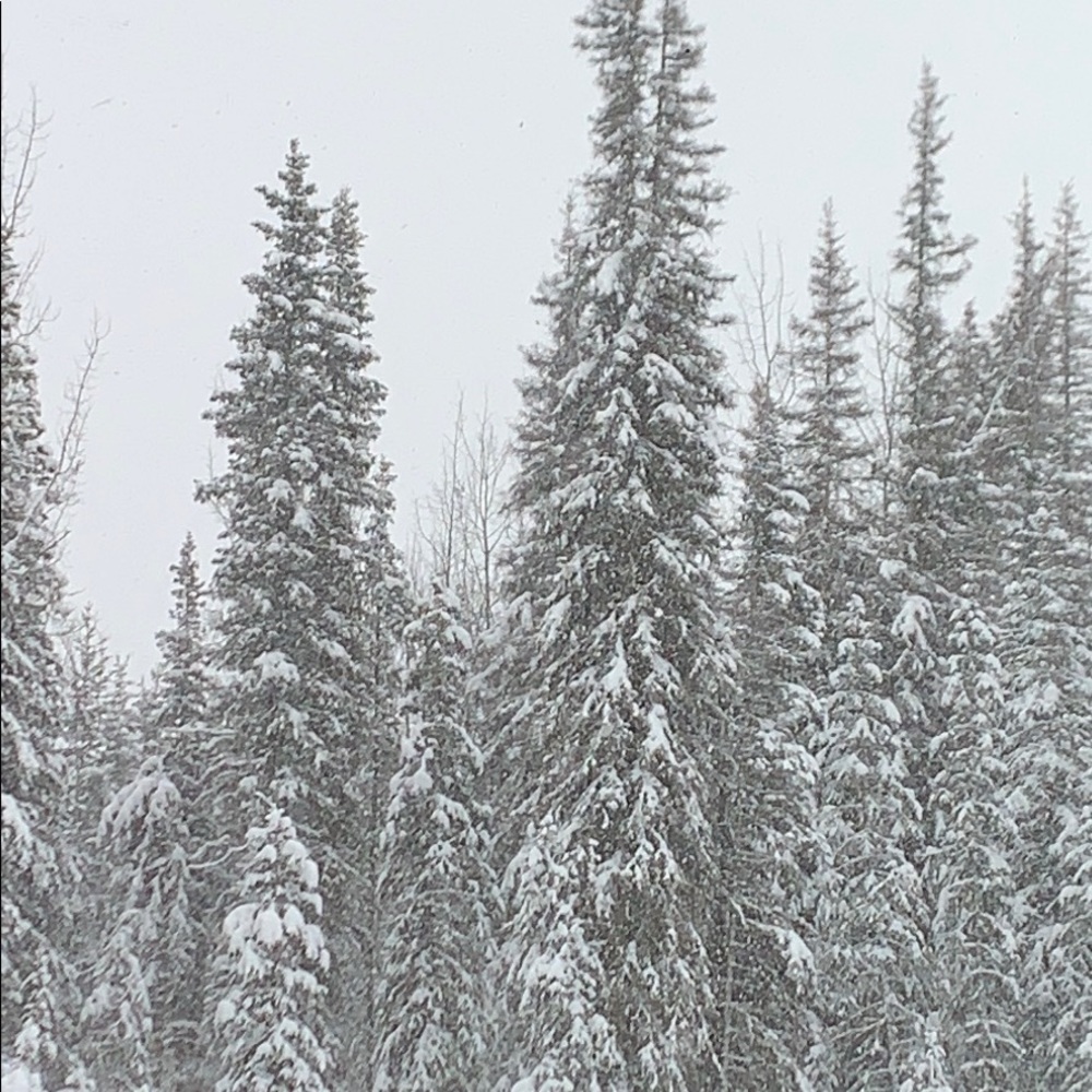 Meet your Posher, Maggie